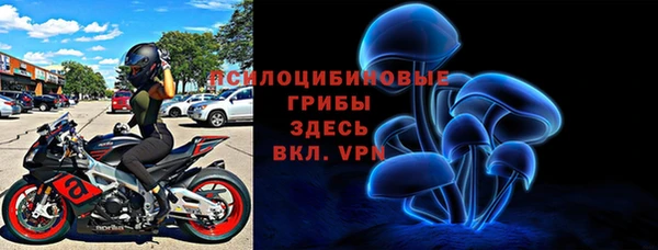 гашик Балабаново