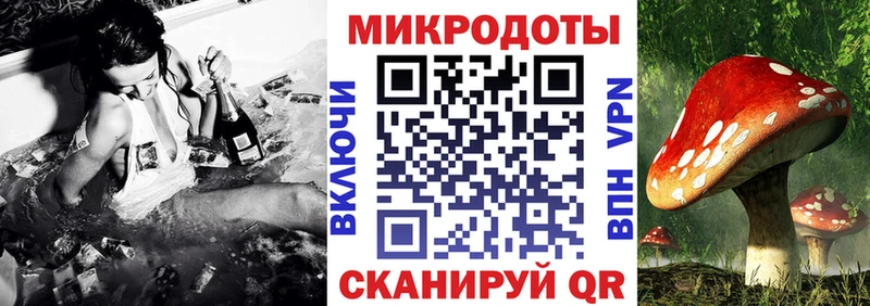 Псилоцибиновые грибы прущие грибы  Узловая 